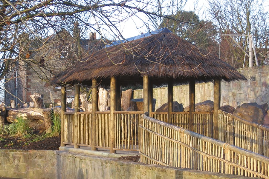 building with tropical thatch roof